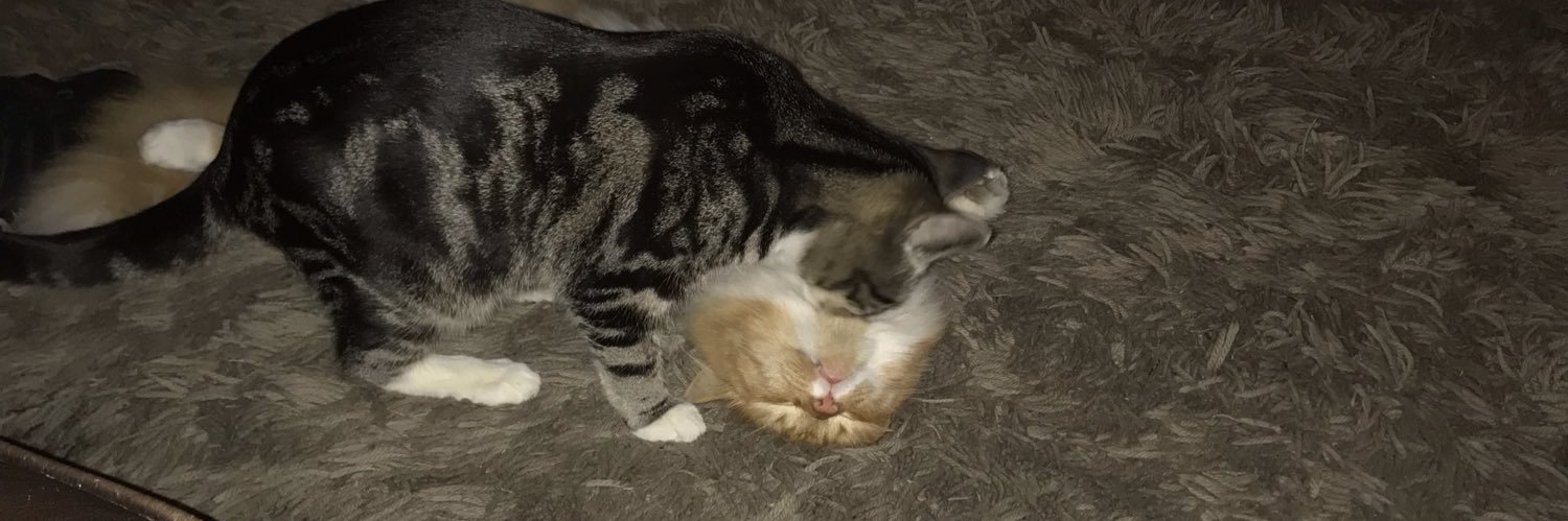 Emma Crompton banner