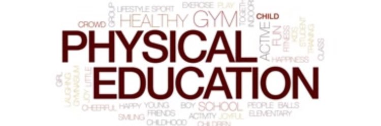 Mrs. Ligeikis P.E. banner