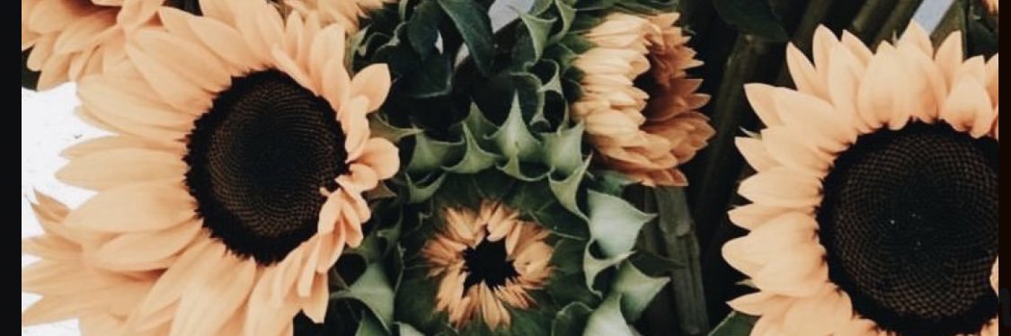 RavynAzlynn's profile banner image