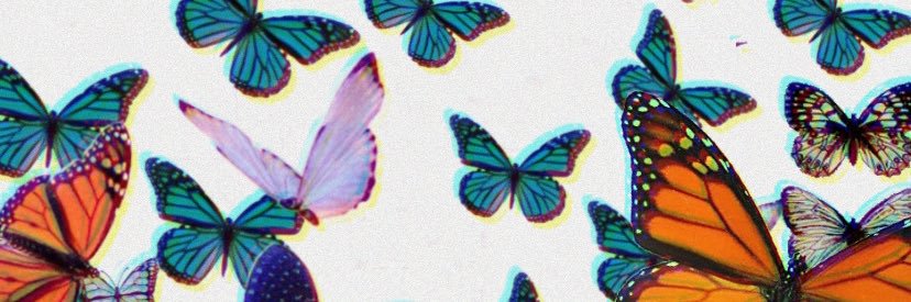 UH SIGMA KAPPA banner