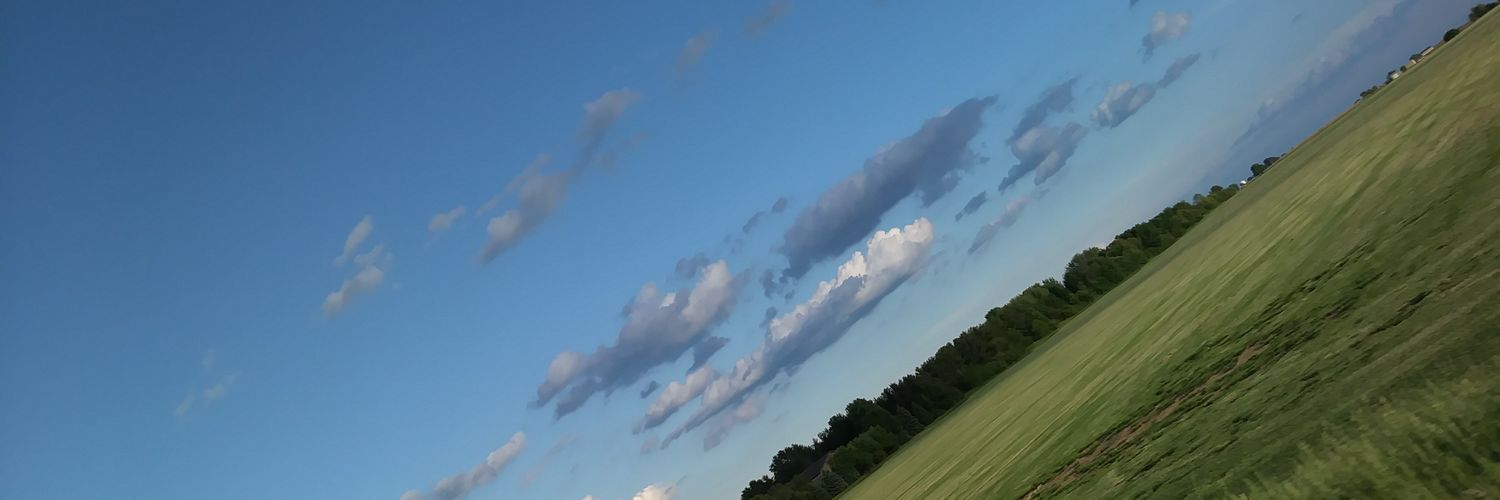 vochinho's profile banner image