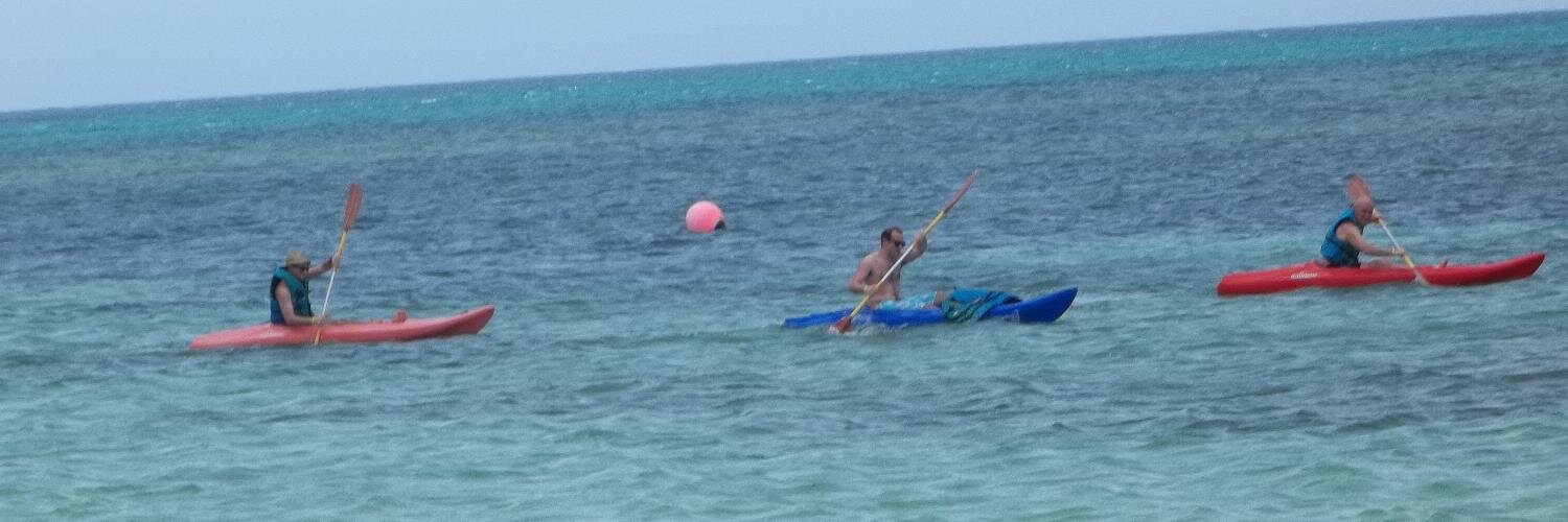 paul bottomley banner