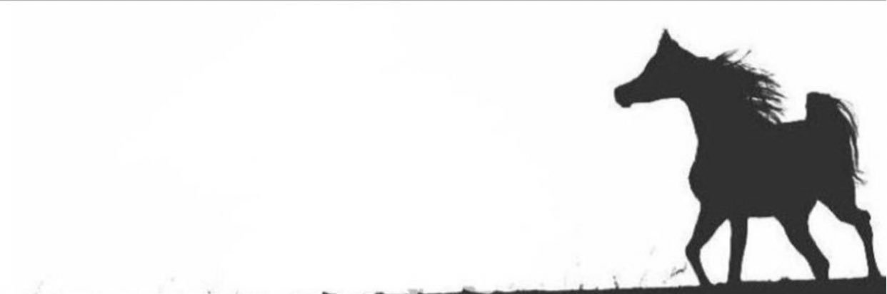 56qwq's profile banner image