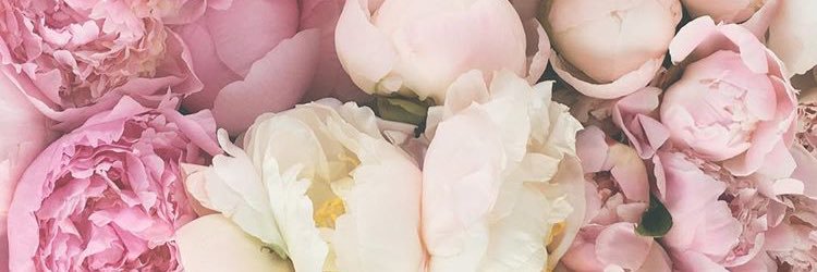 nataliaperullas's profile banner image