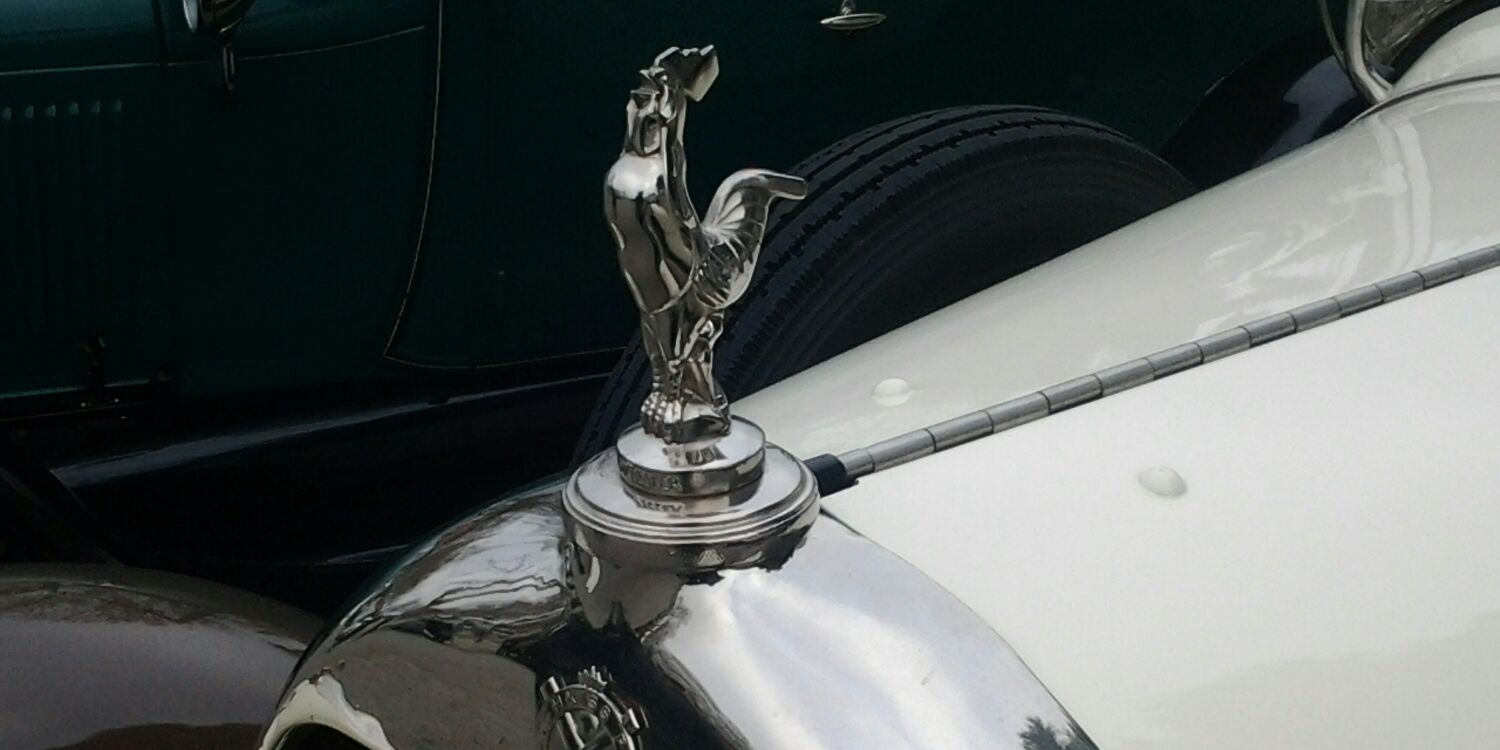 vercelloneavoca's profile banner image