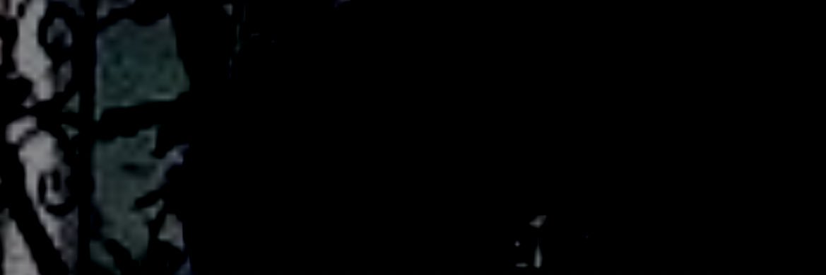 Rockrinz's profile banner image