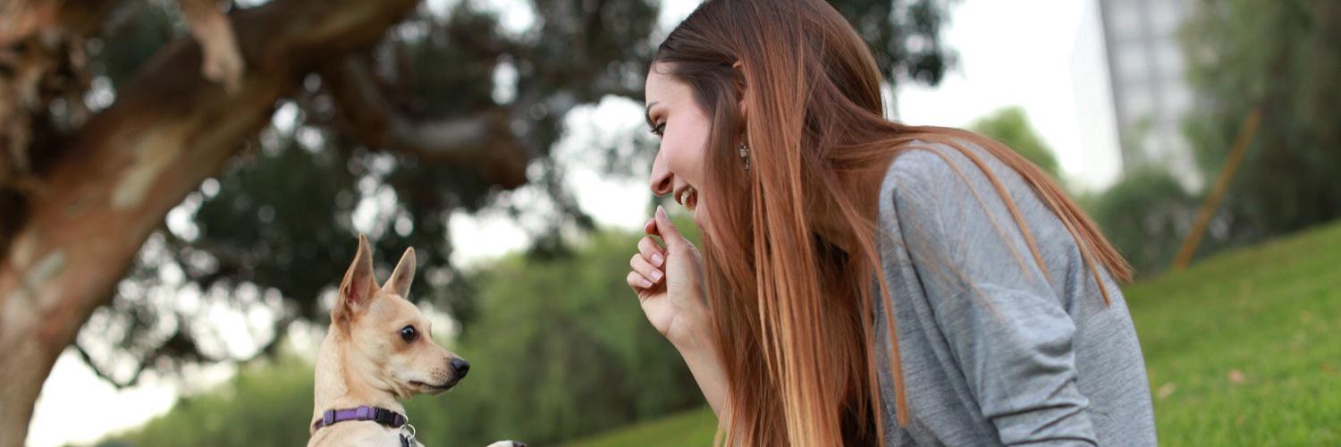 lynntelzer's profile banner image