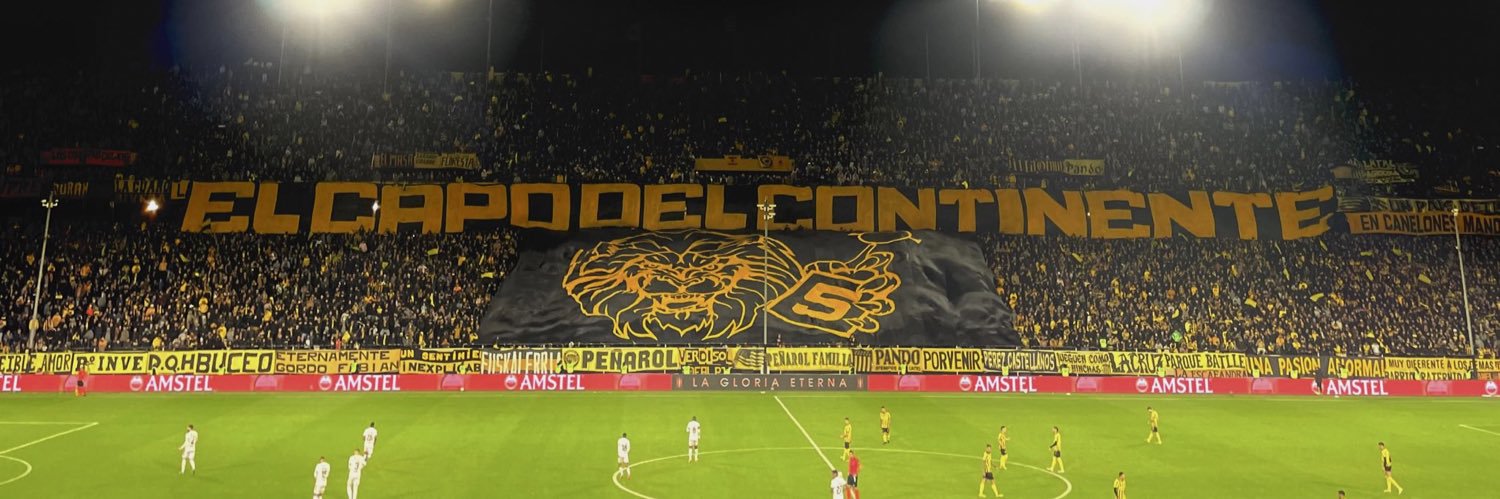 EmiBerrini30's profile banner image