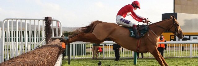 Ross Halstead banner