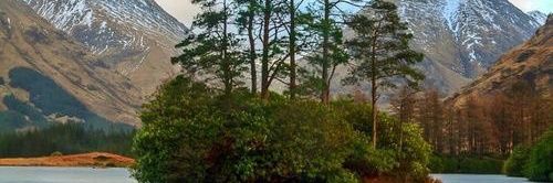 Jorge Moreira banner