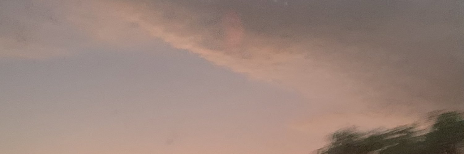 losestar911's profile banner image