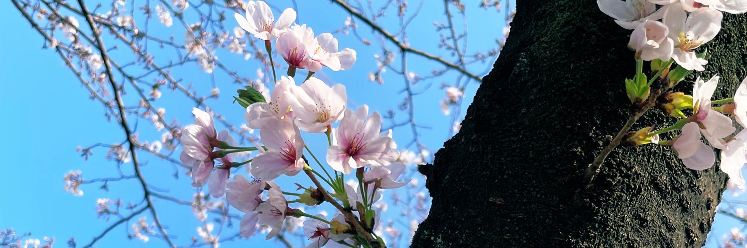 谷井タン◎5/6 東１け22a banner