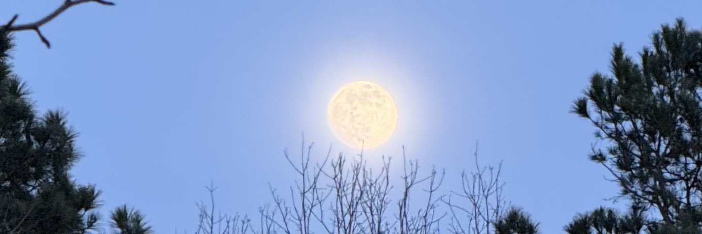soofyawn's profile banner image