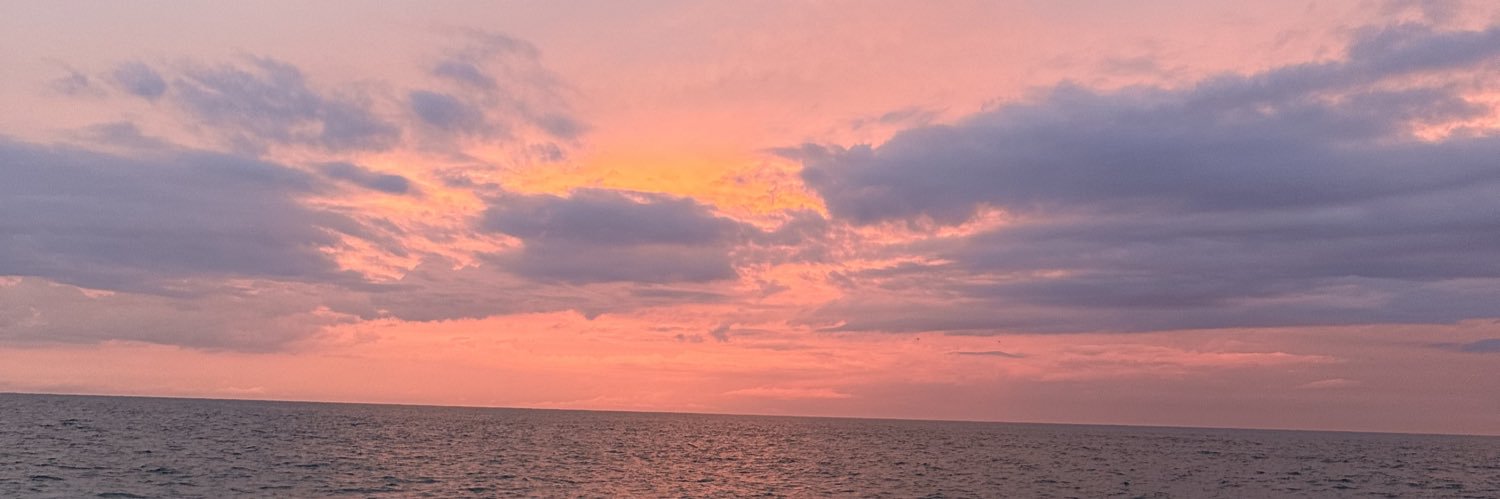 q_forrest's profile banner image