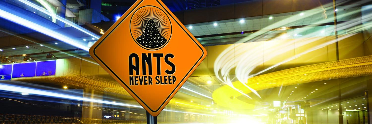 antsnevertweet's profile banner image