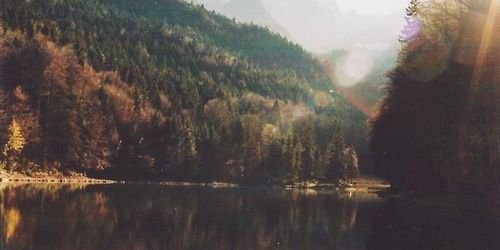 luxstyless's profile banner image