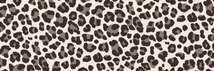 Petiote_'s profile banner image