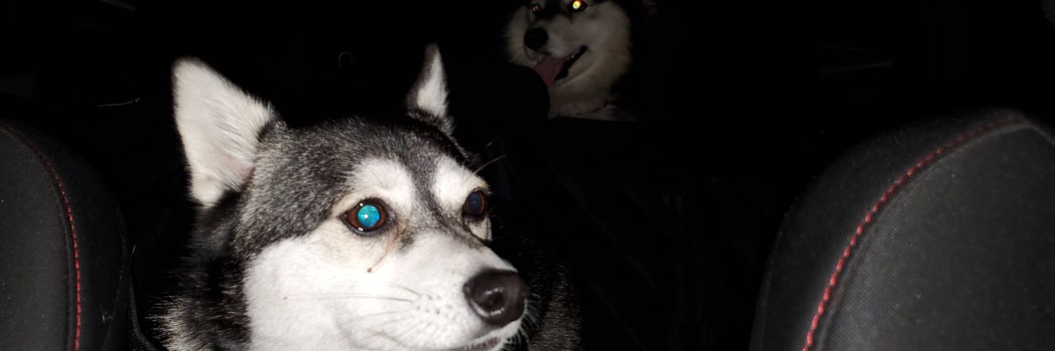 ufoundbrandon's profile banner image