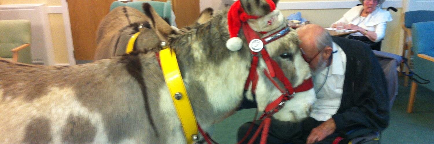 Danny Donkey & Pals banner