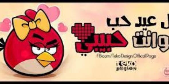 donya_eslam's profile banner image