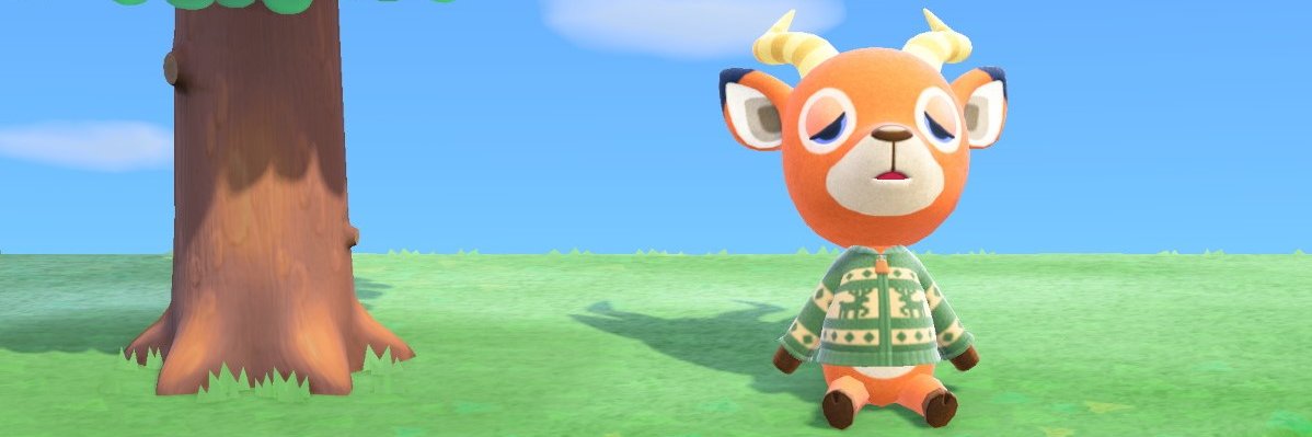 Blake🇲🇽 banner