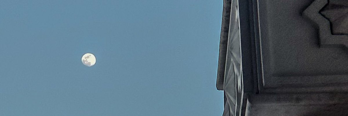 𓆉 banner