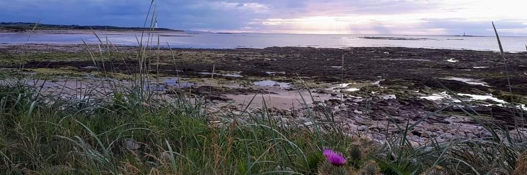 Moray Firth Tours & Transport banner