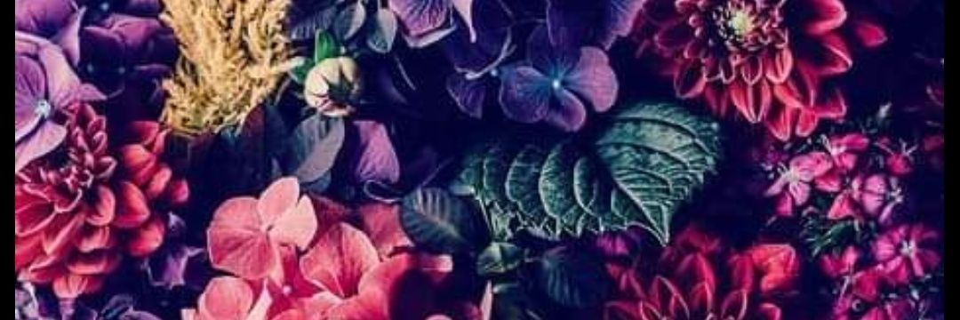 nanuck22's profile banner image