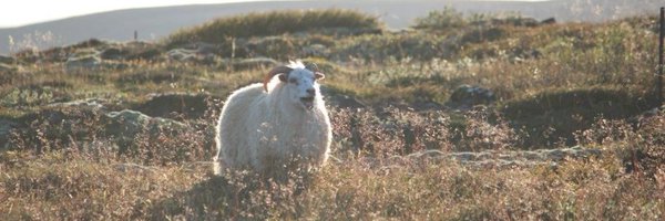 emweecurt Profile Banner