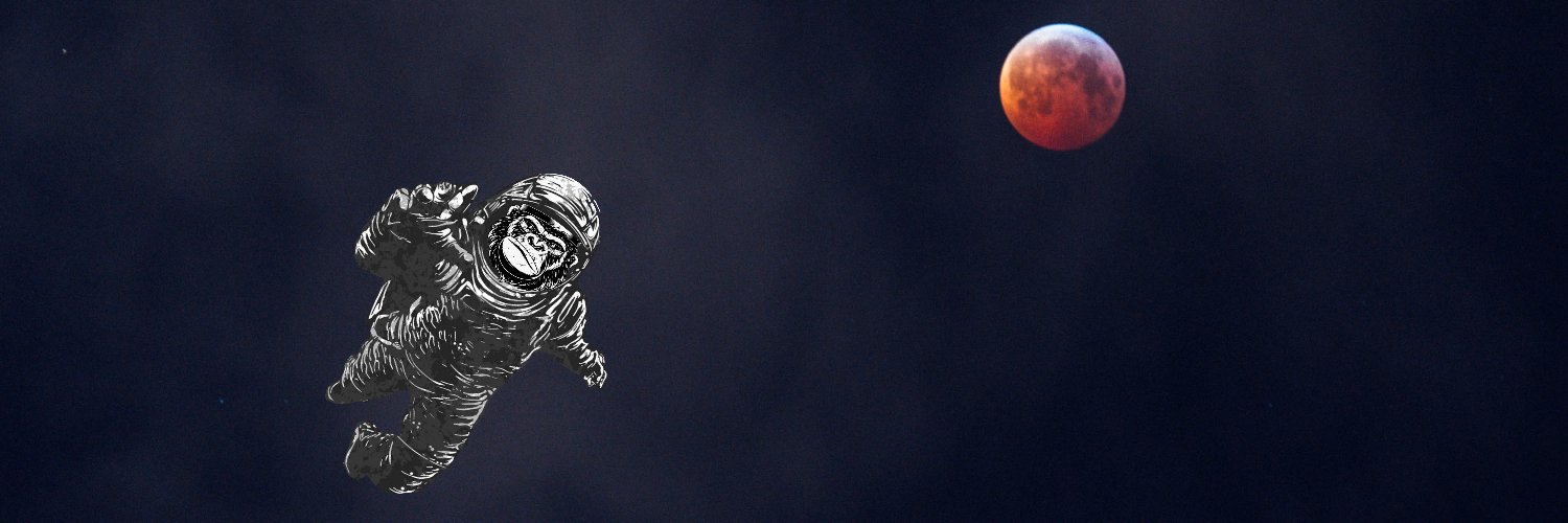 6xOXBT's profile banner image