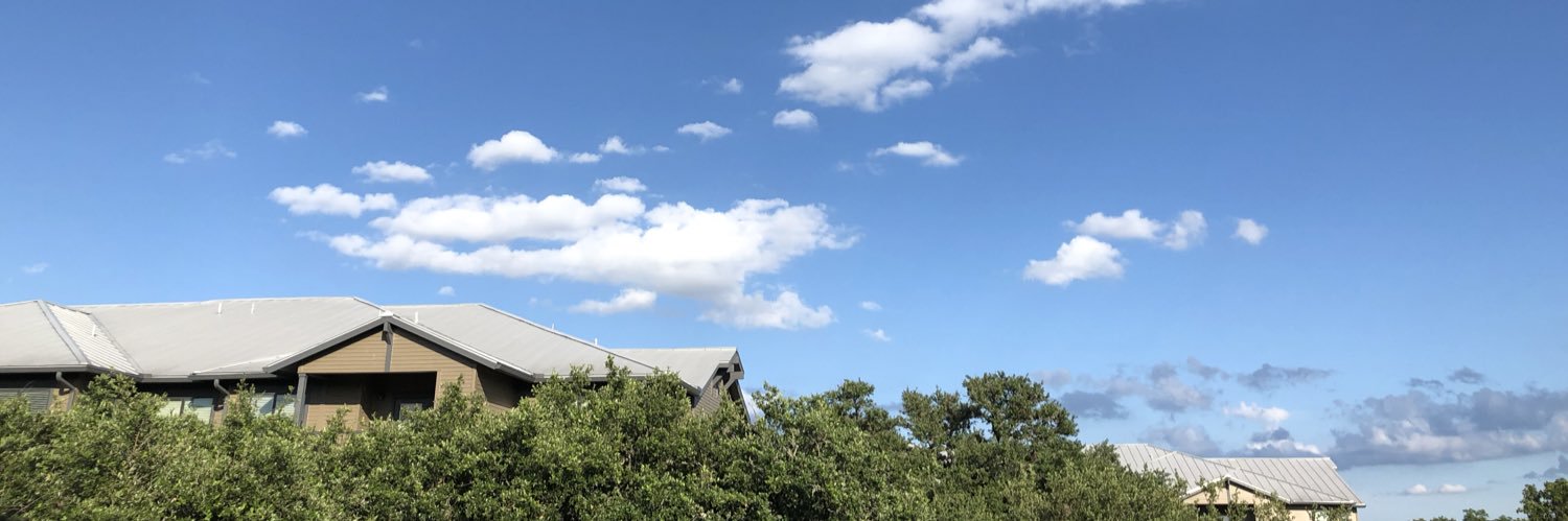 YL2020TX banner