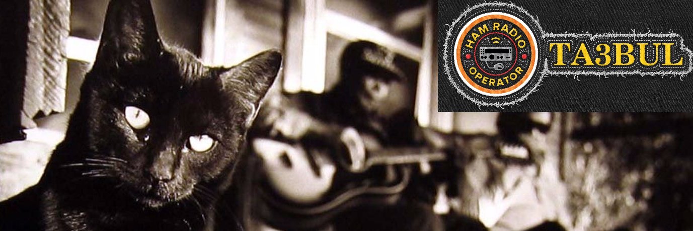 alibulut's profile banner image