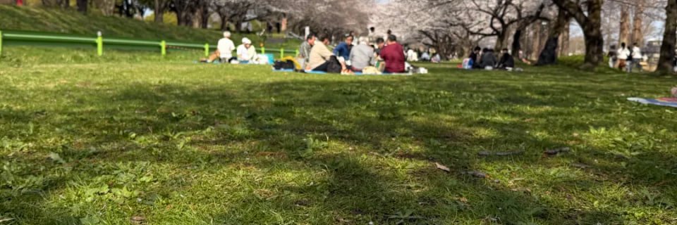 Yukiko Tomike banner