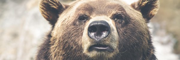 nadyapost Profile Banner