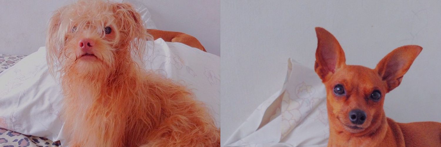 imroseanne07's profile banner image