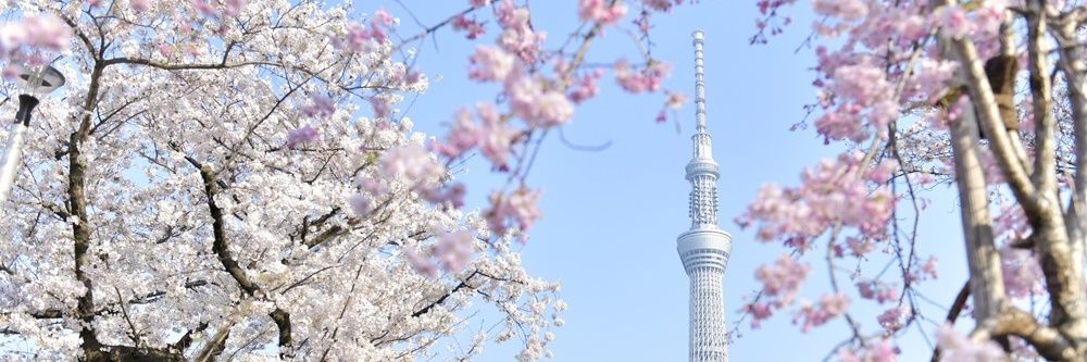 Its Life After All banner