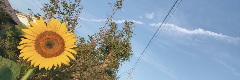 ahaha943's profile banner image