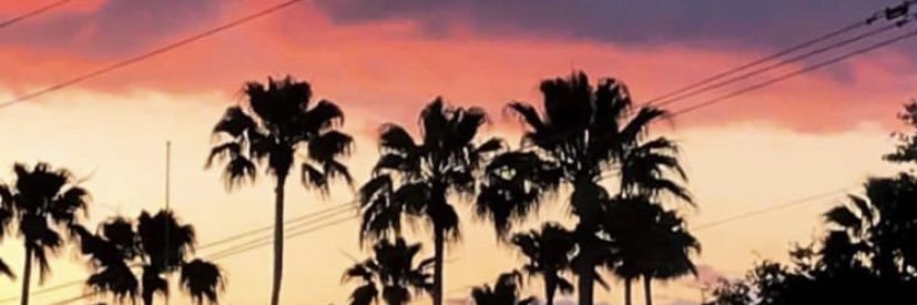 luisclemar's profile banner image