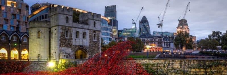 Victoria Robinson | FCIM banner