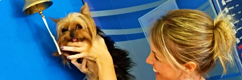 LisaBPortugal's profile banner image