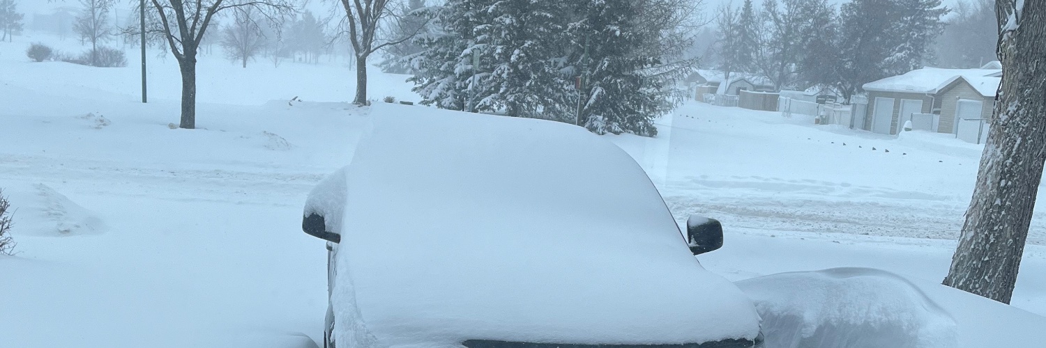 Sens fan in Sask banner