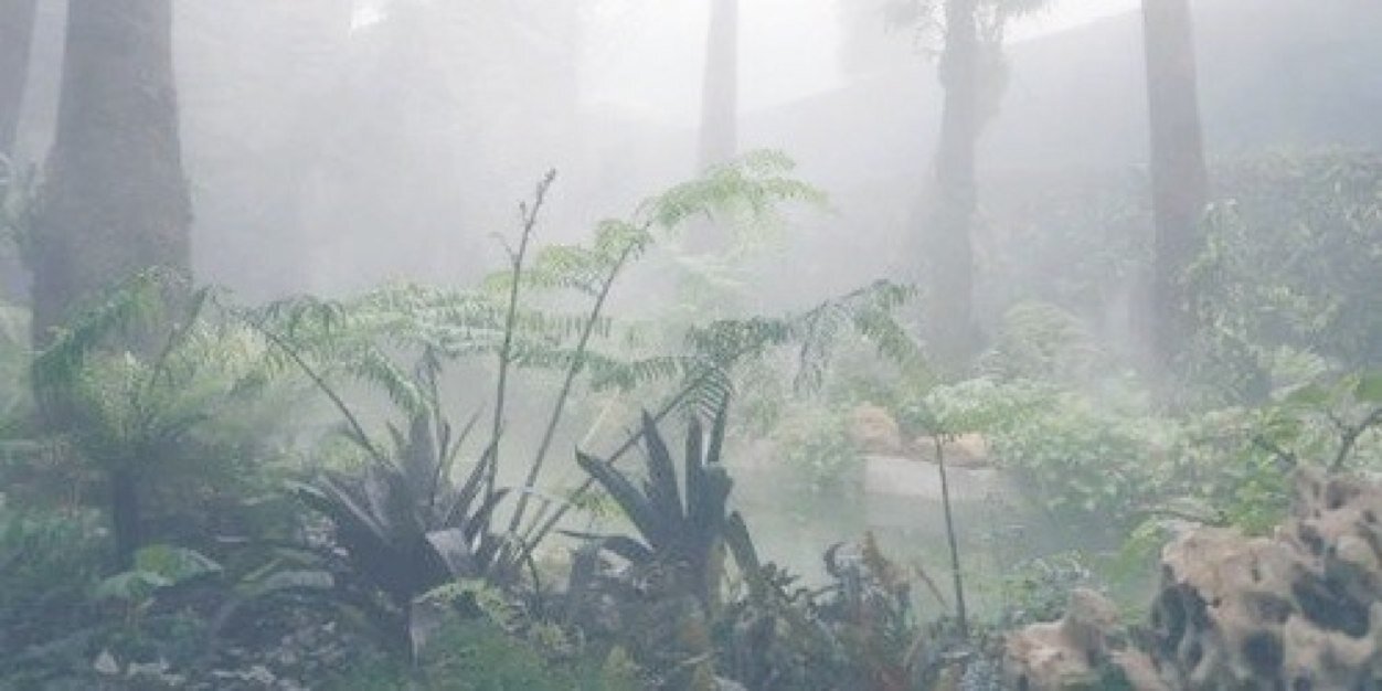 fringelayouts's profile banner image