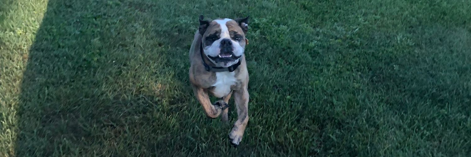 ✨ nacho // 조혜미 ✨ banner