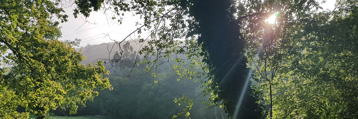 Hufofilio's profile banner image