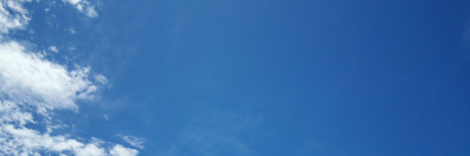 2eeeSheena's profile banner image