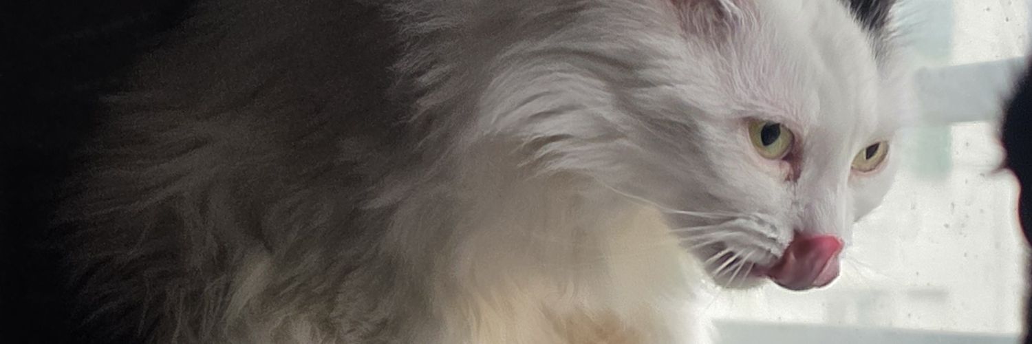 HydrangeaDream_'s profile banner image