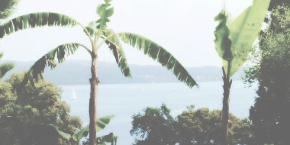 officialmbkgdr's profile banner image