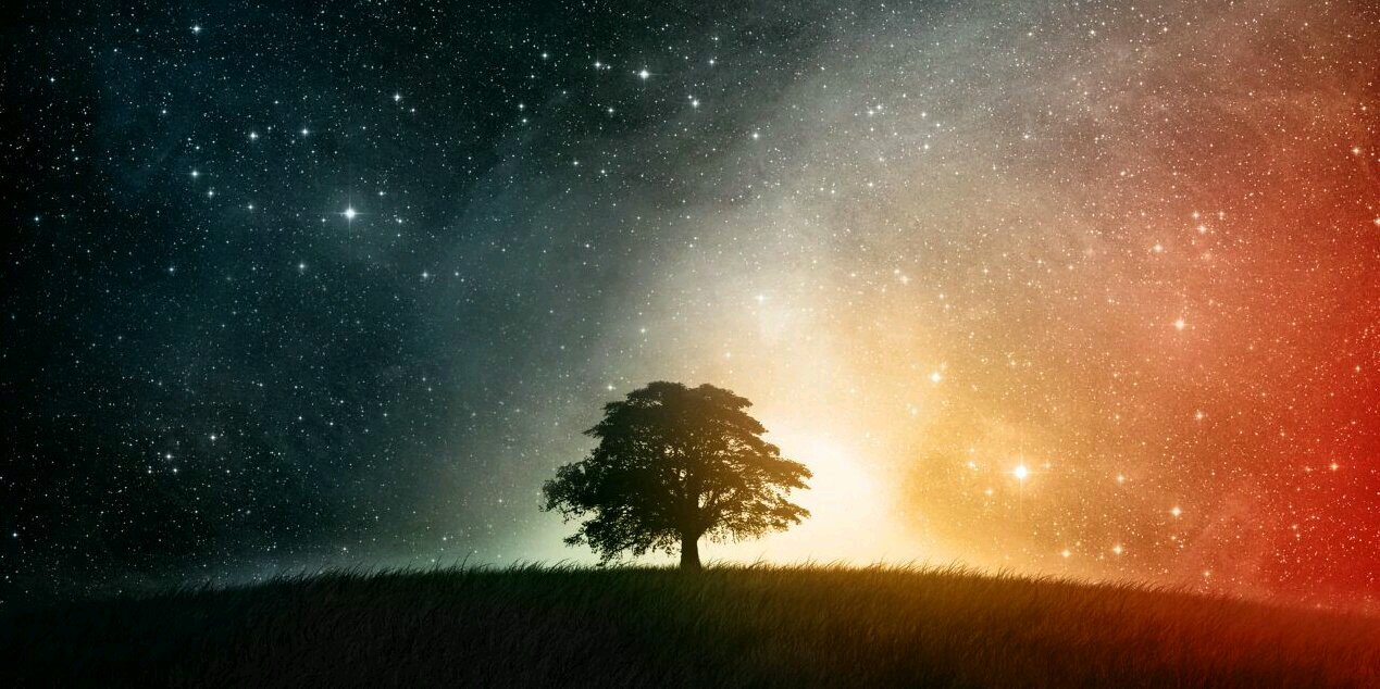 vikaOct's profile banner image