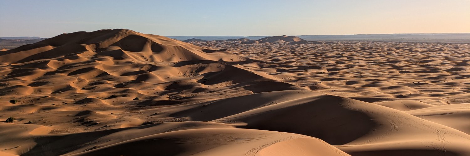 Romain Wilbert banner