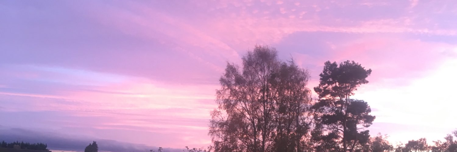 trianabarfer's profile banner image